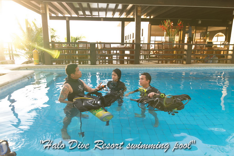Anilao Diving Resort - Halo Dive Resort